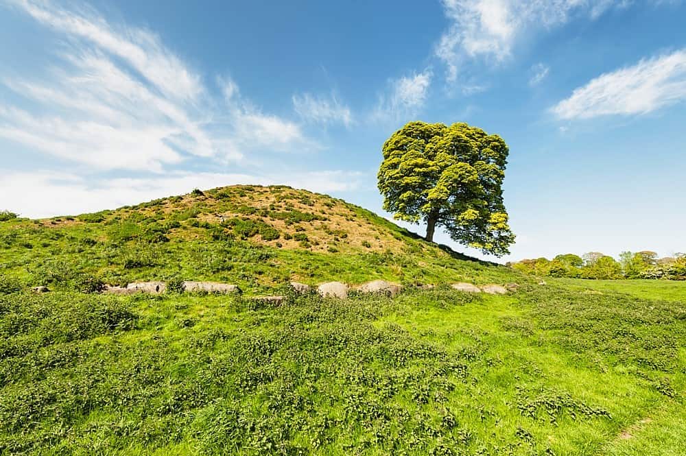 Dowth passage tomb entrance and stone features